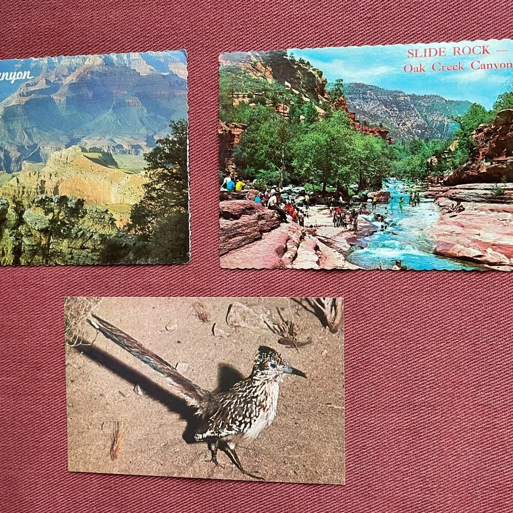 Vintage Lot of 12 Arizona Unused Postcards